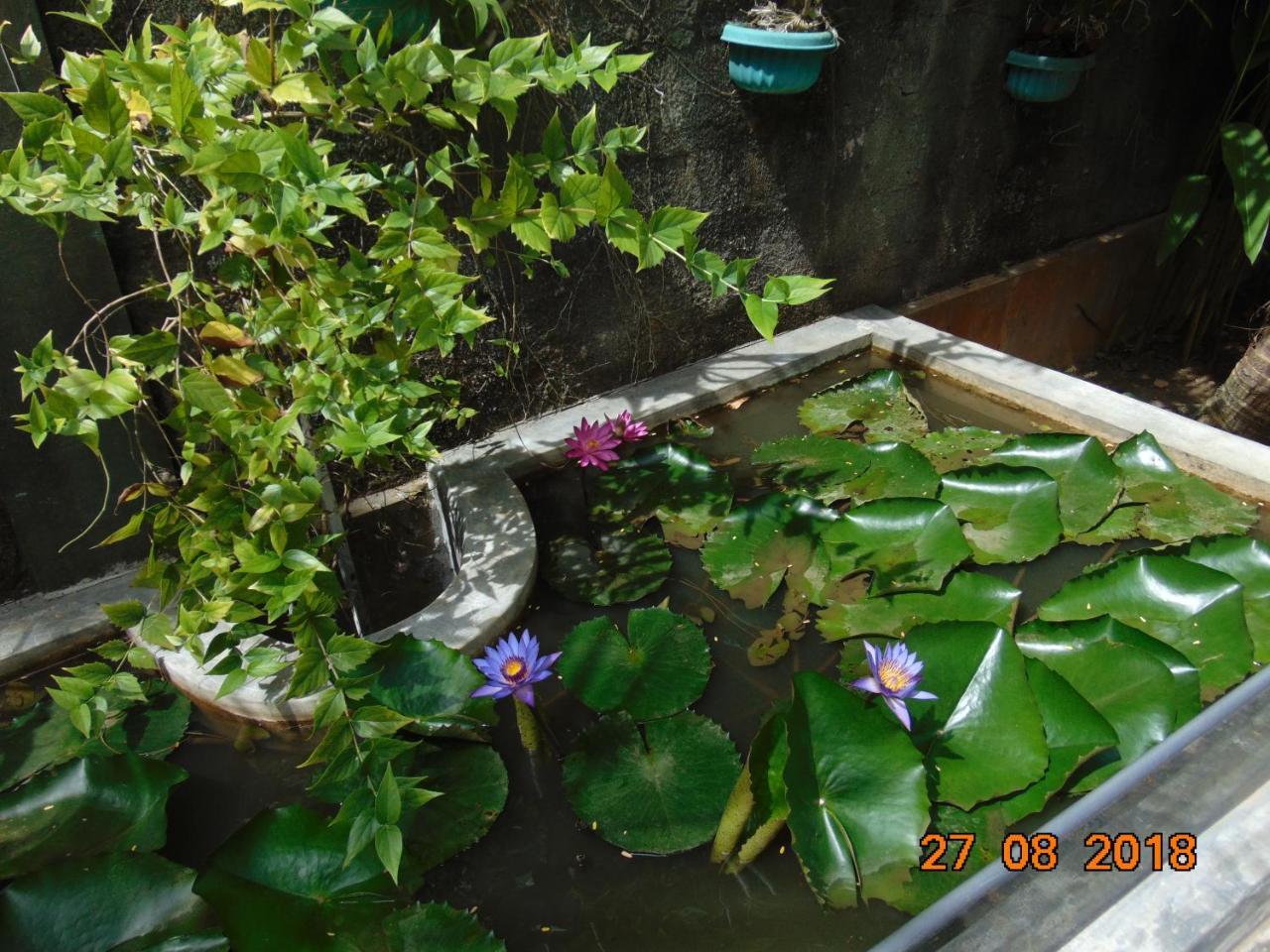 Sri Lankan Villa Elagawagoda Esterno foto