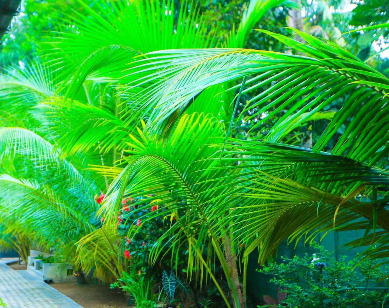 Sri Lankan Villa Elagawagoda Esterno foto